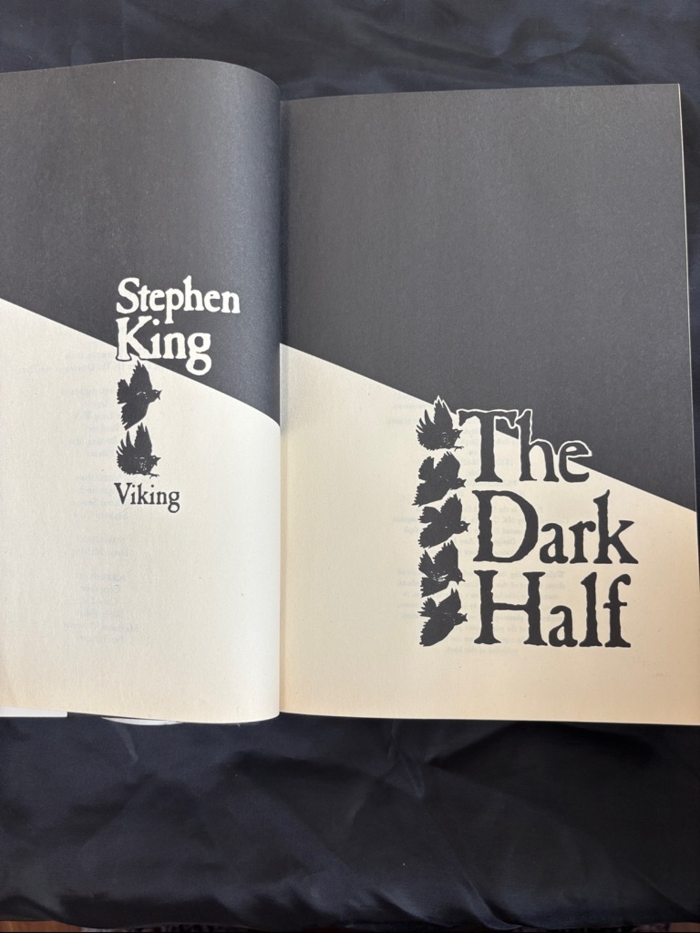 'The Dark Half by Stephen King - First Edition Hardcover 💀 - Picture 11 of 12
